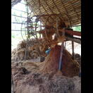 Die gewünschten langen Fasern erhält man durch Sieben